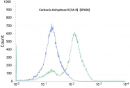 AM20268PU-S - Carbonic anhydrase 9