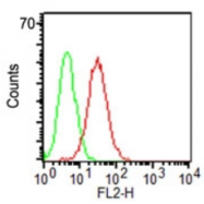 AM20322PU-N - CD34