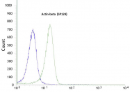 AM21043PU-M - Actin beta / ACTB