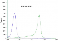 AM21045PU-M - S100B