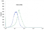 AM21066PU-M - FOXA1 / TCF3A