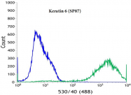 AM21068PU-M - Cytokeratin 6