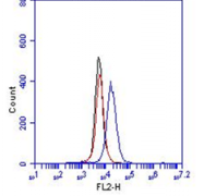 AM26286FC-N - CD144 / Cadherin-5