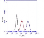AM26319PU-N - CD14