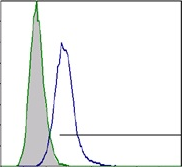 AM26345FC-N - CD120b / TNFR2