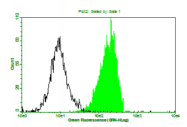 AM26392PU-L - CD11a / ITGAL