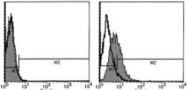 AM26419AF-N - CD130 / IL6ST