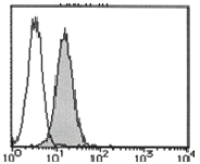 AM26424FC-N - CD157 / BST1
