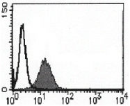 AM26424PU-N - CD157 / BST1