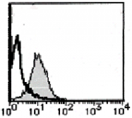 AM26697FC-N - CD178 / Fas Ligand