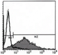 AM26429AF-N - CD154 / CD40L
