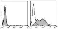 AM26431RP-N - Mesothelin