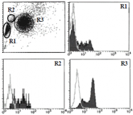 AM26433FC-N - CD43 / Leukosialin
