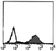 AM26434BT-N - CD178 / Fas Ligand