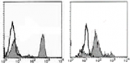 AM26438AF-N - CD4