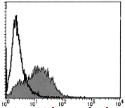 AM26440AF-N - IL1RL1 / ST2