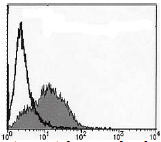 AM26441AF-N - IL1RL1 / ST2