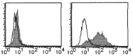 AM26441RP-S - IL1RL1 / ST2