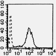 AM26444AF-N - Podocalyxin / PODXL