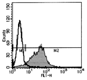 AM26451AF-N - CD193 / CCR3