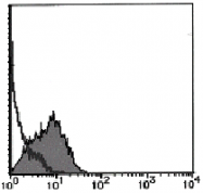 AM26451FC-N - CD193 / CCR3