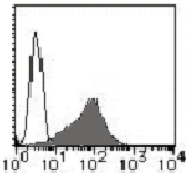 AM26451RP-N - CD193 / CCR3