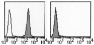 AM26457AF-N - CD274 / PDL1