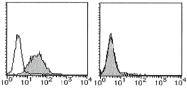 AM26457BT-N - CD274 / PDL1