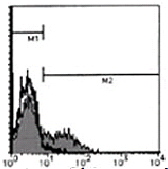 AM26474AF-N - CD195 / CCR5