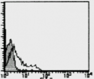 AM26474FC-N - CD195 / CCR5