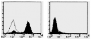 AM26478AF-N - CD274 / PDL1