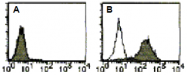 AM26478FC-N - CD274 / PDL1