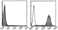 AM26478RP-N - CD274 / PDL1