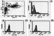 AM26479AF-N - CD279 / PD1
