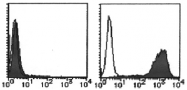 AM26479RP-N - CD279 / PD1