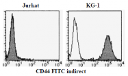 AM26486AF-N - CD44