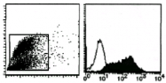 AM26495AF-N - Lactadherin