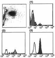 AM26496FC-N - Cytochrome b-245 light chain