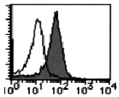 AM26505AF-N - CD112 / Nectin 2