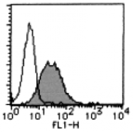 AM26505FC-N - CD112 / Nectin 2
