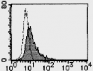 AM26515AF-N - Galectin-9