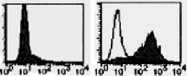 AM26518AF-N - CD257 / BAFF