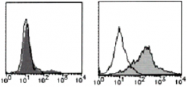 AM26519FC-N - CD268 / BAFFR