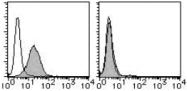 AM26519RP-N - CD268 / BAFFR