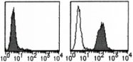 AM26531AF-N - CD274 / PDL1