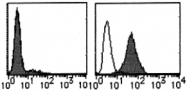 AM26532AF-N - CD273 / PDL2