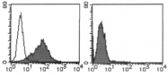 AM26533AF-N - Mesothelin