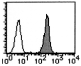 AM26547AF-N - CD46 / MCP