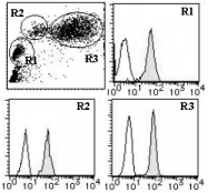 AM26547FC-S - CD46 / MCP