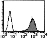AM26551AF-N - CD59